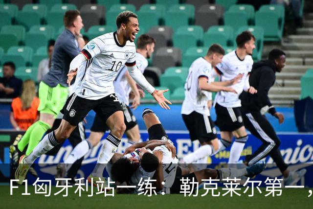 F1匈牙利站一练：勒克莱尔第一，维斯塔潘、汉密尔顿二三